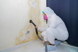 Best Crawl Space Mold Remediation in Mendota, CA